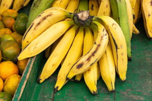 Plantain