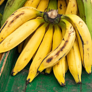 Plantain